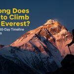 whisk 798008f1089fe7bbc8f453cd4368db6cdr